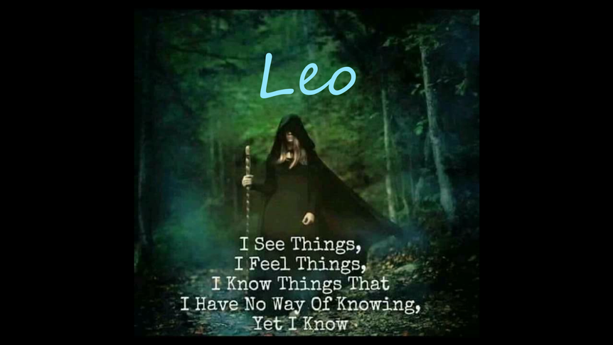 LEO Spirit's Adv My